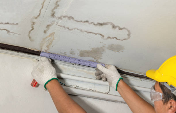 Reliable Burst Pipe Cleanup contractor in Paris, MS by Water Damage Irwin